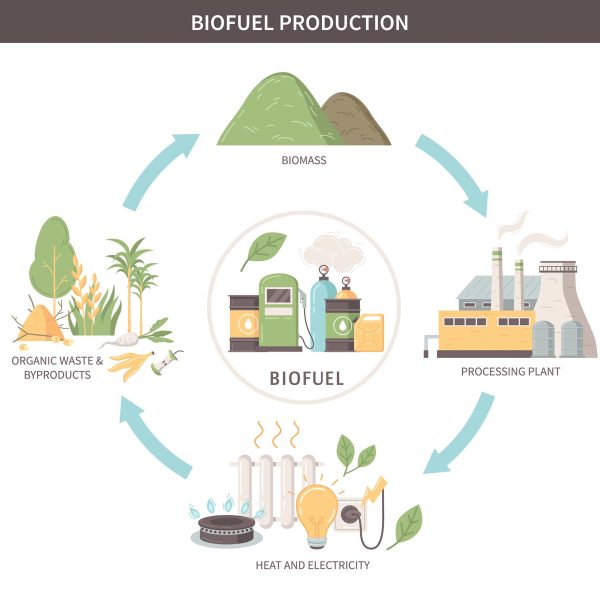 2211.i203.019.S.m004.c13.biomethane biogas biochar biofuel production 2211.i203.019.S.m004.c13.biomethane biogas biochar biofuel production